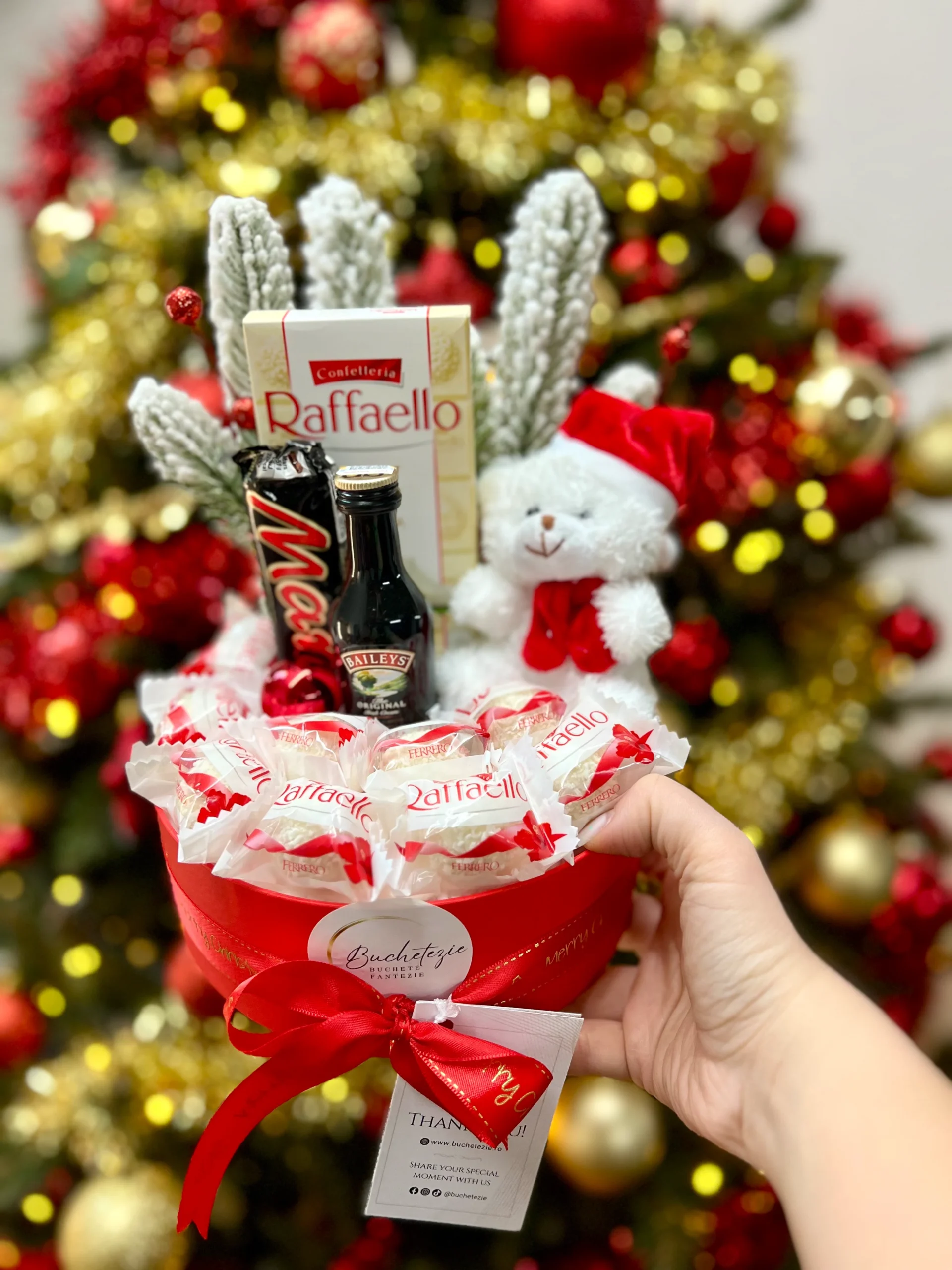 Teddy’s winter treat - imagine 2